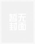荣昭南宁媛小说